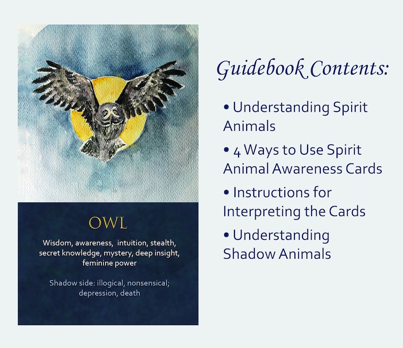 Spirit Animal Awareness Oracle Card Deck image 6