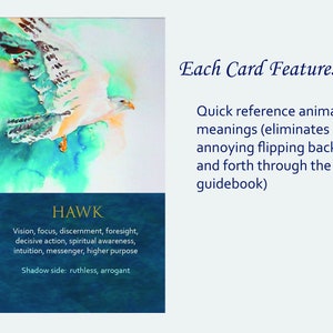 Spirit Animal Awareness Oracle Card Deck image 4