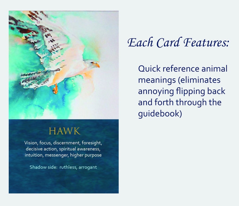 Spirit Animal Awareness Oracle Card Deck image 4