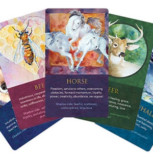 Spirit Animal Awareness Oracle Card Deck image 9