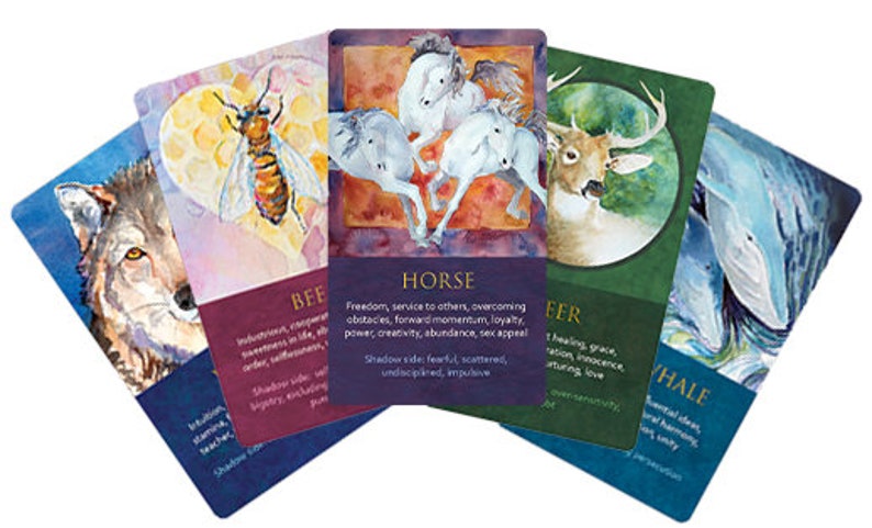 Spirit Animal Awareness Oracle Card Deck image 9