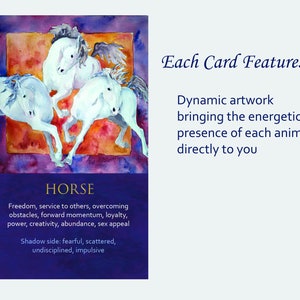 Spirit Animal Awareness Oracle Card Deck image 3