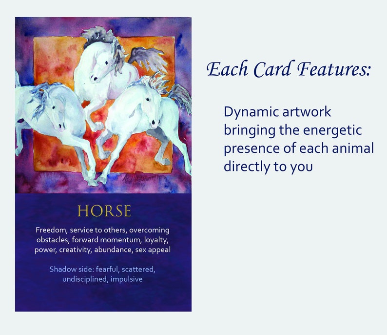 Spirit Animal Awareness Oracle Card Deck image 3