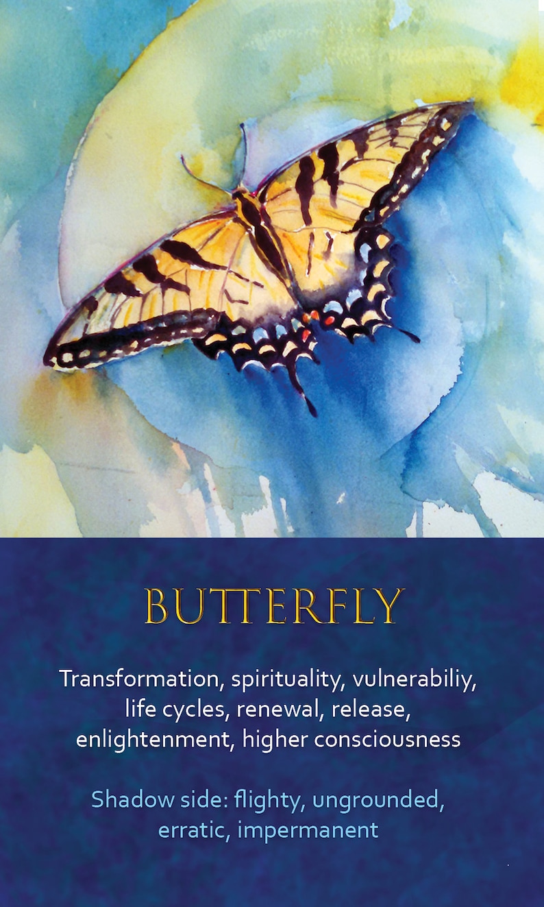 Spirit Animal Awareness Oracle Card Deck image 7