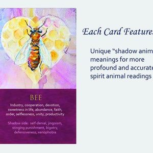 Spirit Animal Awareness Oracle Card Deck image 5