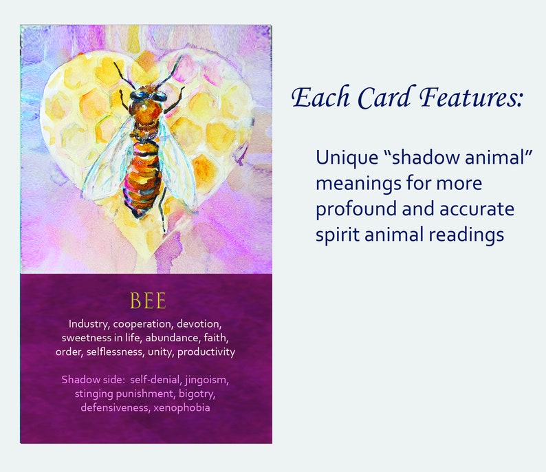 Spirit Animal Awareness Oracle Card Deck image 5