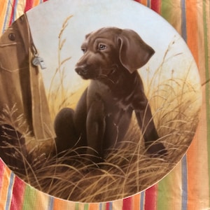 May include: A brown and white porcelain plate with a painting of a chocolate brown Labrador Retriever puppy sitting in tall grass. The puppy is looking to the left of the image. The plate has a white border and a signature in the bottom right corner.