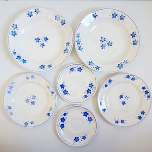 Può includere: Set di sei piatti in ceramica bianca con motivi floreali blu. I piatti sono di diverse dimensioni, il più grande ha un diametro di circa 28 cm.