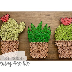 Kit fai da te per realizzare cactus e piante grasse con fili