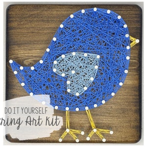 DIY 5x5" Bird String Art Kit