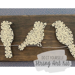 May include: A DIY string art kit featuring three birds on a wire. The birds are made of white string wrapped around nails on a dark brown wooden board. The text "DO IT YOURSELF String Art Kit" is printed below the birds.