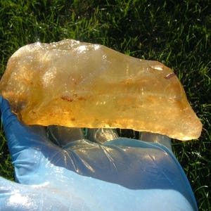 May include: A large, translucent amber stone with a golden-yellow hue. The rough, irregular shape of the amber is visible, and it appears to be held by a person wearing a blue glove. The background is green grass.