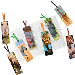 Acrylic Bookmark Blanks Pack of Ten 