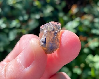 Terminated Tanzanite Crystal, Tanzanite Crystal, Tanzanite Crystal in Specimen Jar, Crystal