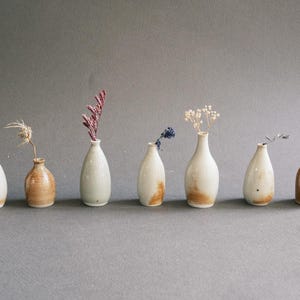 May include: A collection of seven small ceramic vases in varying shapes and colors, some with dried flowers. The vases range from white to brown, with a few featuring a speckled or aged appearance. A coin is next to the vases.