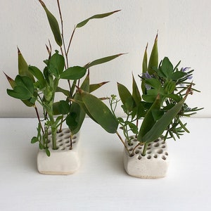May include: Two white ceramic planters with a honeycomb design, each filled with a variety of green plants.