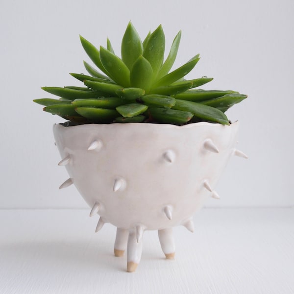 Handmade white ceramic spiky cactus planter, ceramic cactus planter, white plant pot, succulent planter, flower pot, white pottery planter