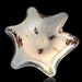 see more listings in the MURANO | Bowls, Ashtrays section