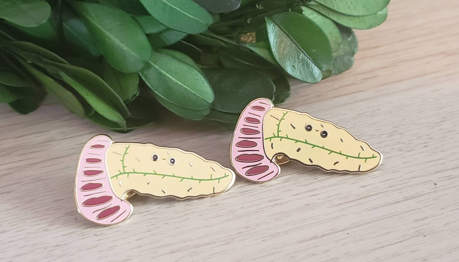 Pancreas Enamel Pin.hard Enamel Pin.pancreas Pin.abdomen - Etsy