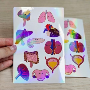 Anatomy kawaii stickers. Anatomy stickers. Anatomical stickers. Human anatomy. Human Anatomy Sticker .