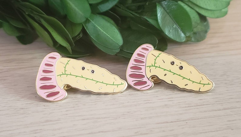 Pancreas Enamel Pin.hard Enamel Pin.pancreas Pin.abdomen | Etsy