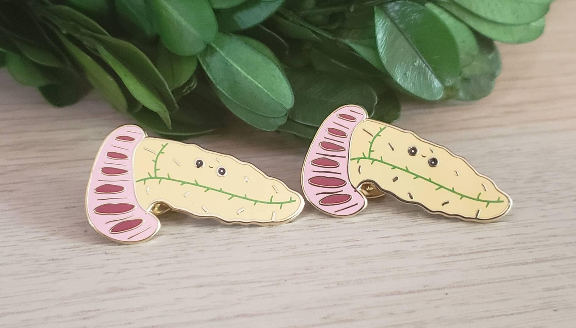 Pancreas Enamel Pin.hard Enamel Pin.pancreas Pin.abdomen - Etsy