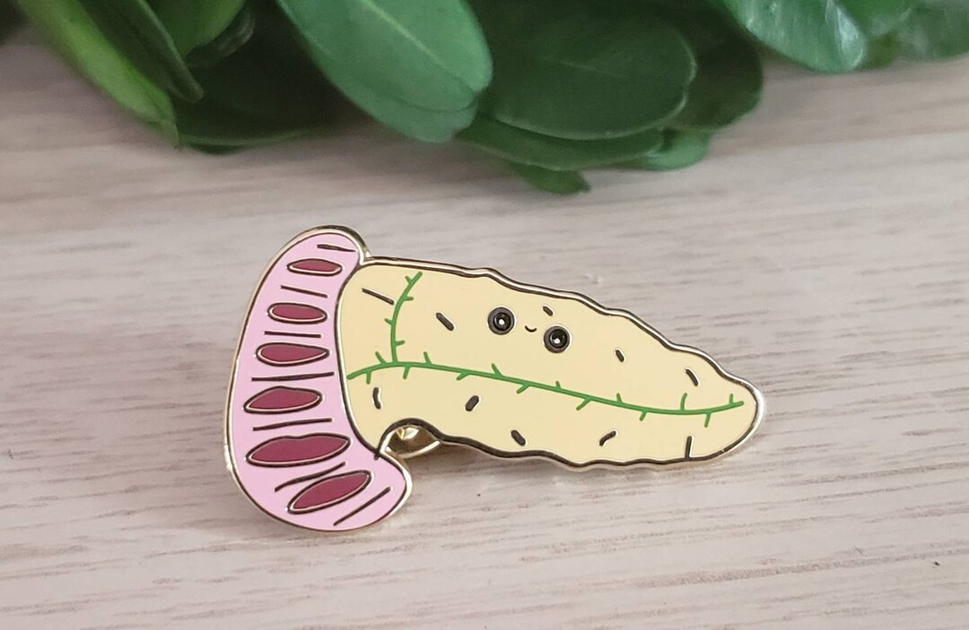 Pancreas Enamel Pin.hard Enamel Pin.pancreas Pin.abdomen Ultrasound Pin ...