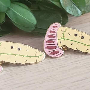 Pancreas Enamel Pin.hard Enamel Pin.pancreas Pin.abdomen Ultrasound Pin ...