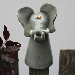 Törööööö, Elefant, Afrika Bild 1