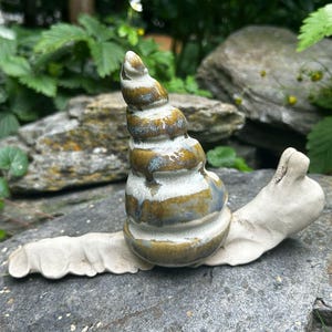 Racing snail Speedy, snail, reptile, slug, worm, garden, pests, salad