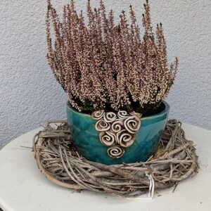 Può includere: Un vaso di ceramica turchese con un motivo a spirale contiene una pianta fiorita con fiori marroni e rosa. Il vaso poggia in un nido di ramoscelli intrecciati su un tavolo bianco. La pianta è una varietà di erica.