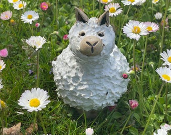 Lhama Pablo do Peru, decoração de jardim, América do Sul, Andes, alpaca, lã, lã natural