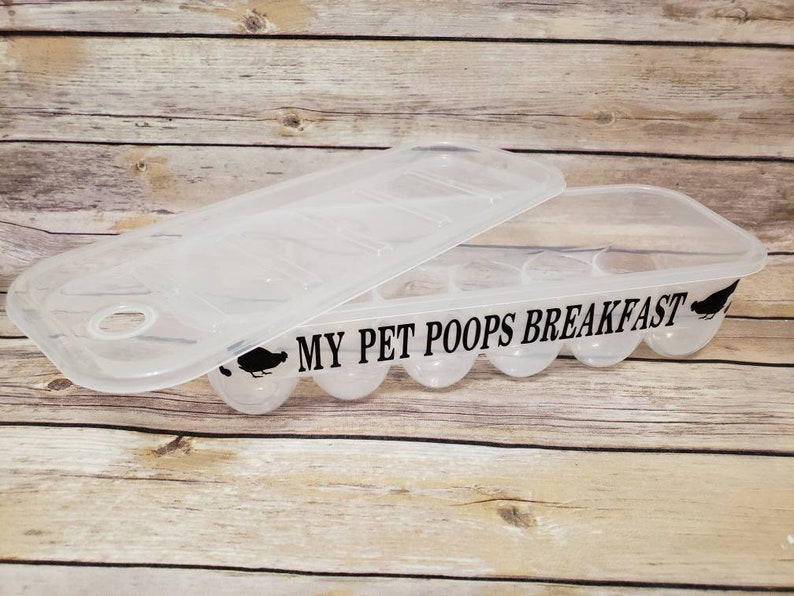 Storage Egg Containers Reusable Egg Containers Funny Egg Etsy