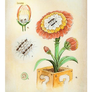 Fire Flower Botanical Illustration 8.5&quot; x 11&quot; Art Print, Super Mario Bros, Watercolor