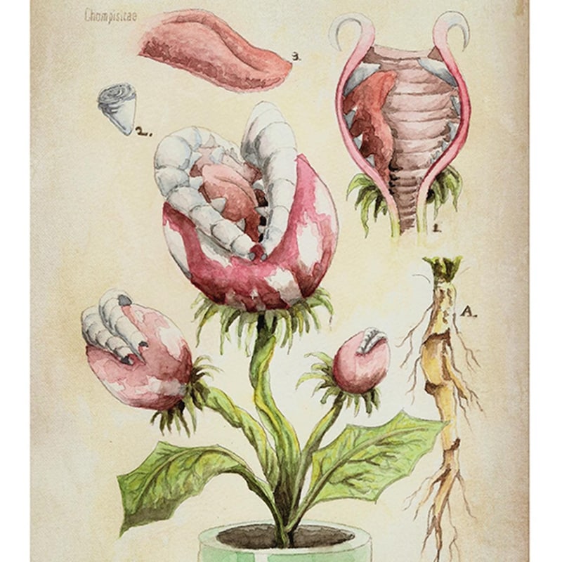 Super Mario Piranha Plant Etsy