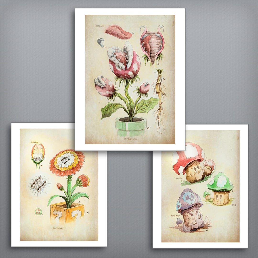 SET of 3 - Super Mario Botanical Illustration 8.5