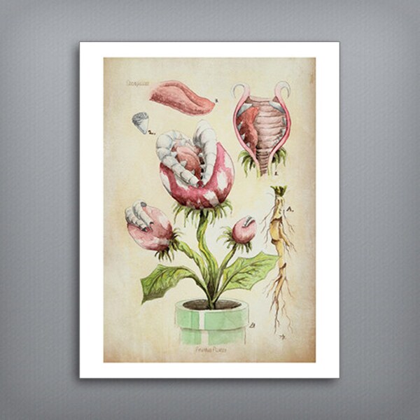 Piranha Plant Botanical Illustration 8.5" x 11" Art Print, Super Mario Bros, Watercolor