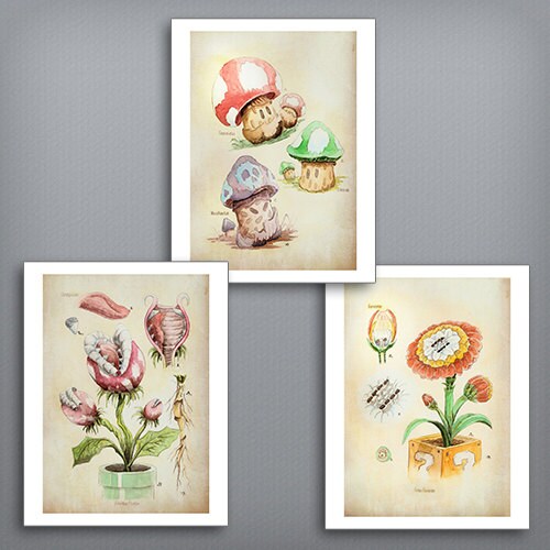 SET of 3 Super Mario Botanical Illustration 8.5 X - Etsy