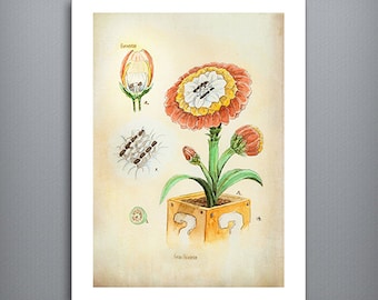 Fire Flower Botanical Illustration 8.5" x 11" Art Print, Super Mario Bros, Watercolor