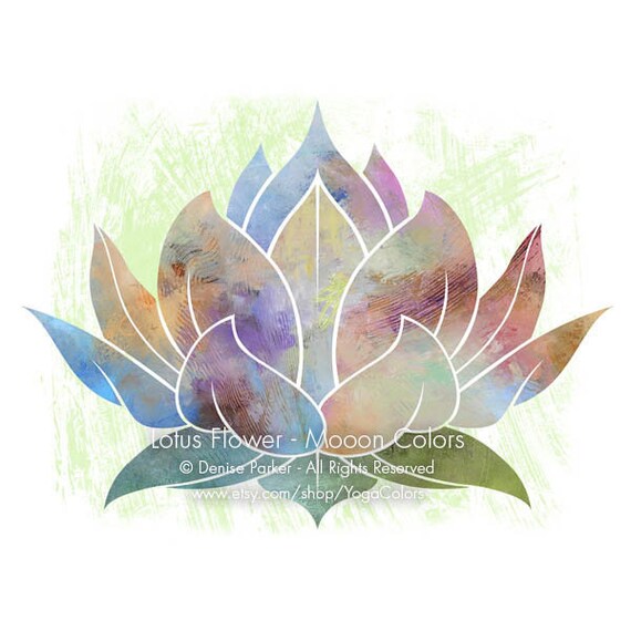 art lotus