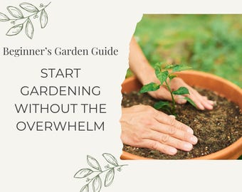 Beginner Gardening Guide | Simple Step by Step for First Time Gardeners