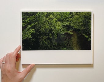 Prêt à expédier* Affiche authentique, Photographe contemporain, KIM HAN JUN, <Forest> (Tabletop Lamina Frame)