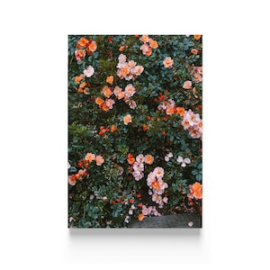 Cartel auténtico, Artista contemporáneo, E. Dunker, Fine Little Day, Rose