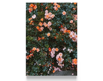Authentic poster, Contemporary Artist, E. Dunker, Fine Little Day, Rose