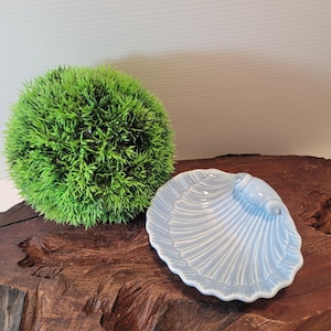 Shell Soap Dish In Soft Blue Made In Japan