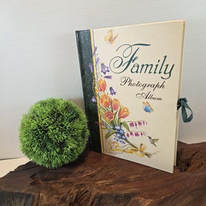 May include: A cream-colored "Family Photograph Album" with floral and butterfly illustrations. The album has a green spine and a green ribbon tie. A small green ball sits next to the album on a dark wood surface.