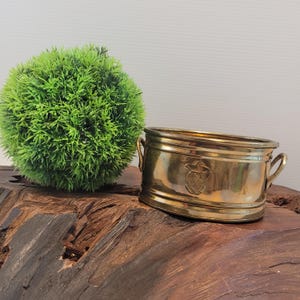 May include: A gold-toned brass planter with two handles and a pineapple design. The planter is sitting on a wooden surface.