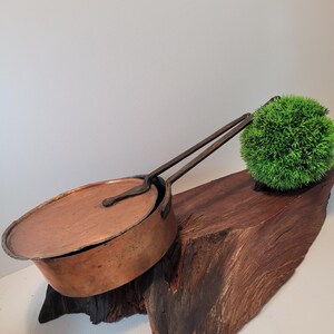 May include: A vintage copper pot with a lid and a long iron handle. The pot is sitting on a piece of wood with a green bush behind it.