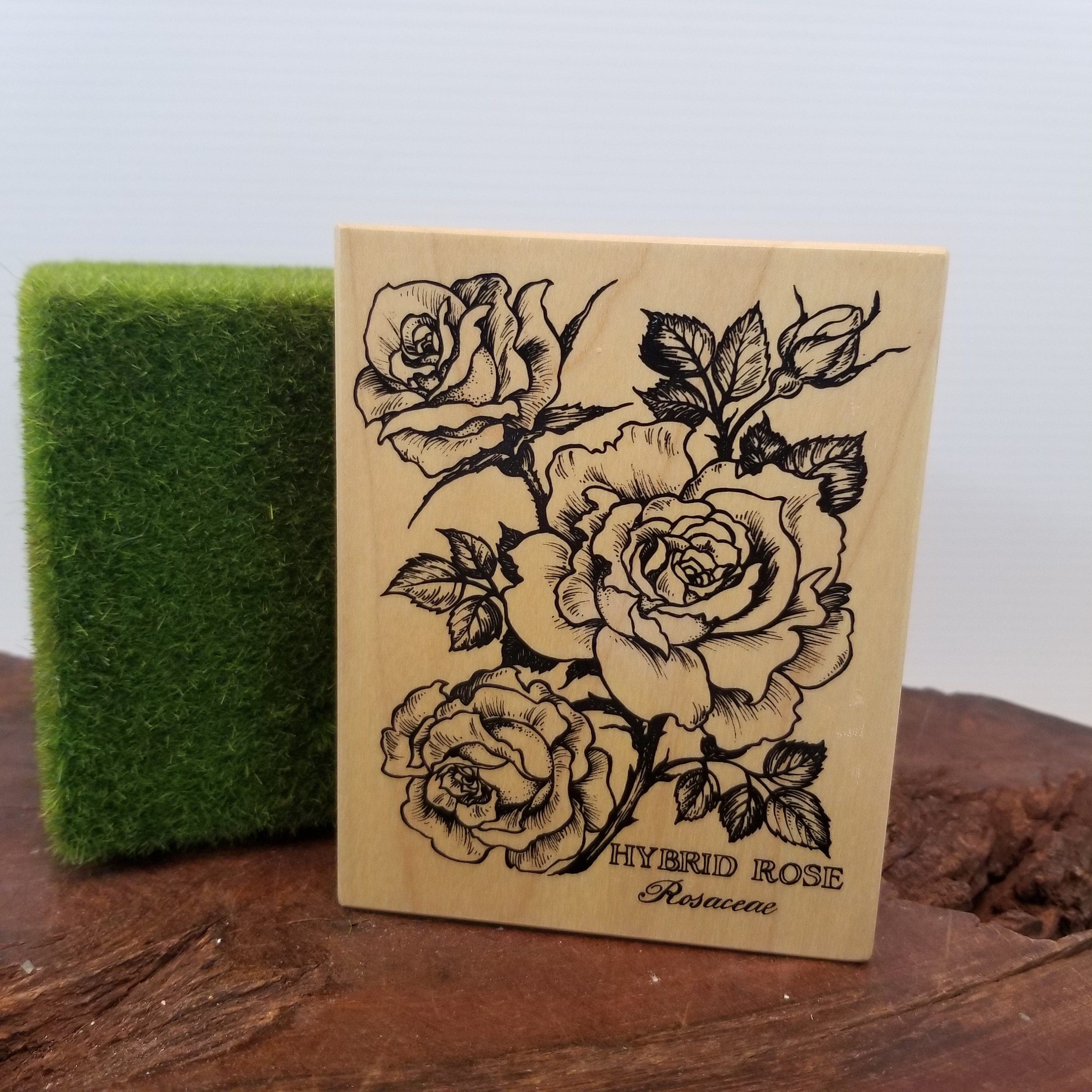 Paper, Party & Kids Stamp Blocks Stampin’up Retired Rubber Stamp on