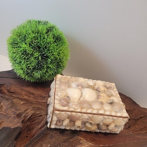 Vintage Shell Covered Trinket Box, Pretty Shell Covered Treasure Box